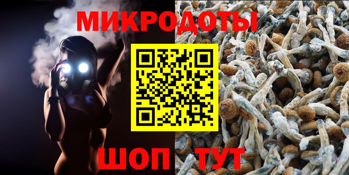 Галлюциногенные грибы мицелий Назарово
