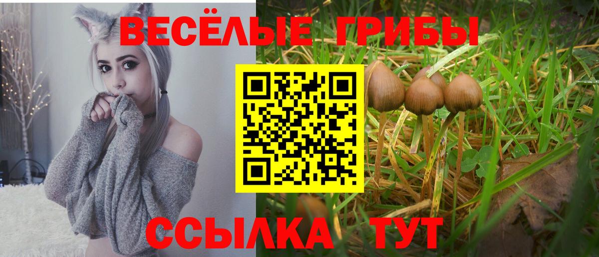 Галлюциногенные грибы Cubensis  Вход с VPN  Галлюциногенные грибы Magic Shrooms  что такое наркотик  Назарово 